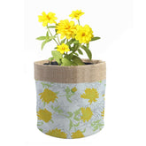 PLC-JTBR-CY44-PUJ-21003-Front