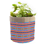 PLC-JTBR-CY66-EAH-22002-Front